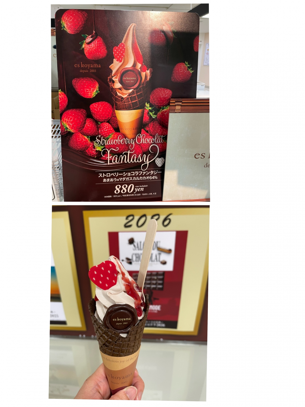 �T�����f���V���R���ɂ�