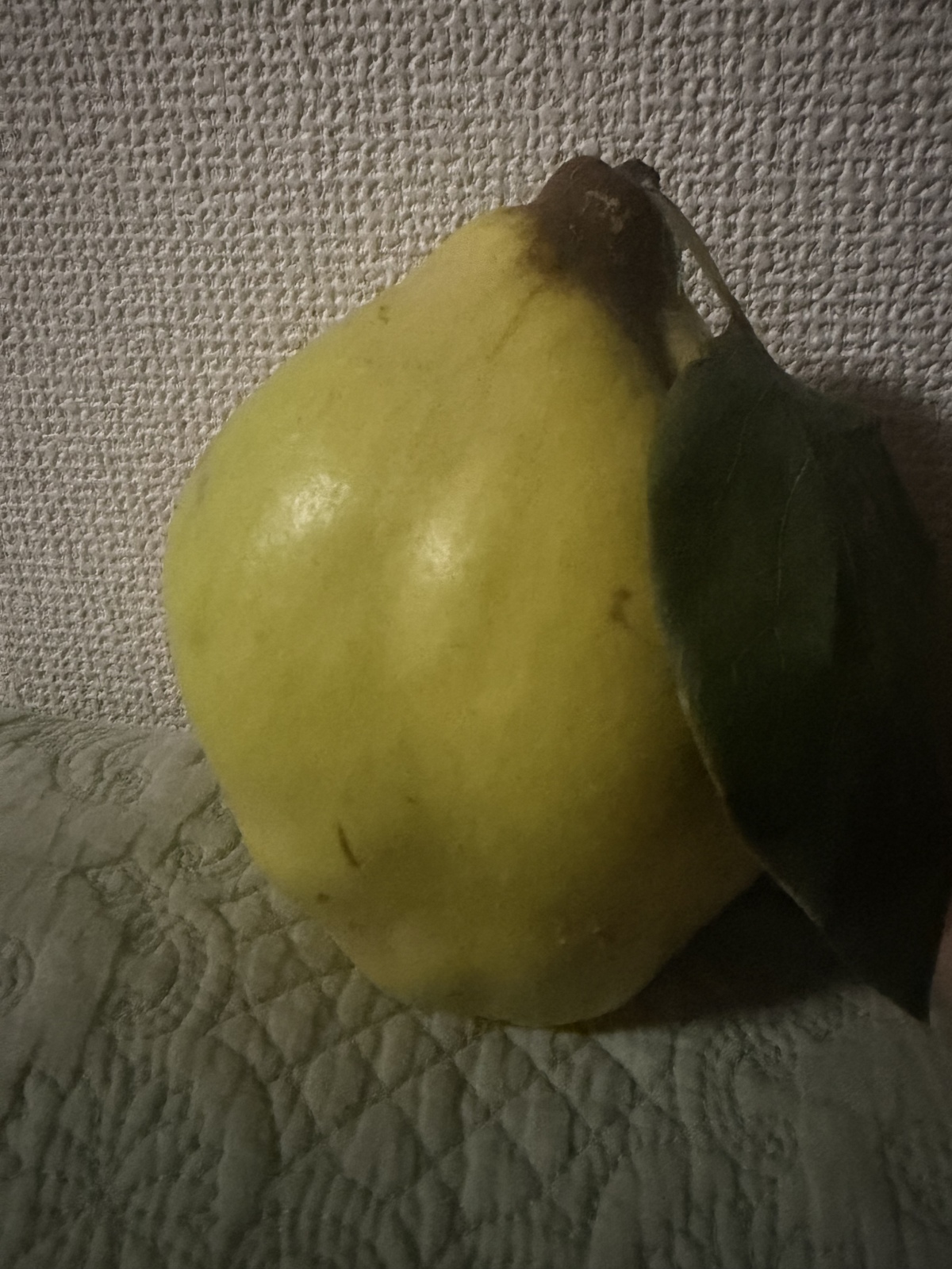 �J���������