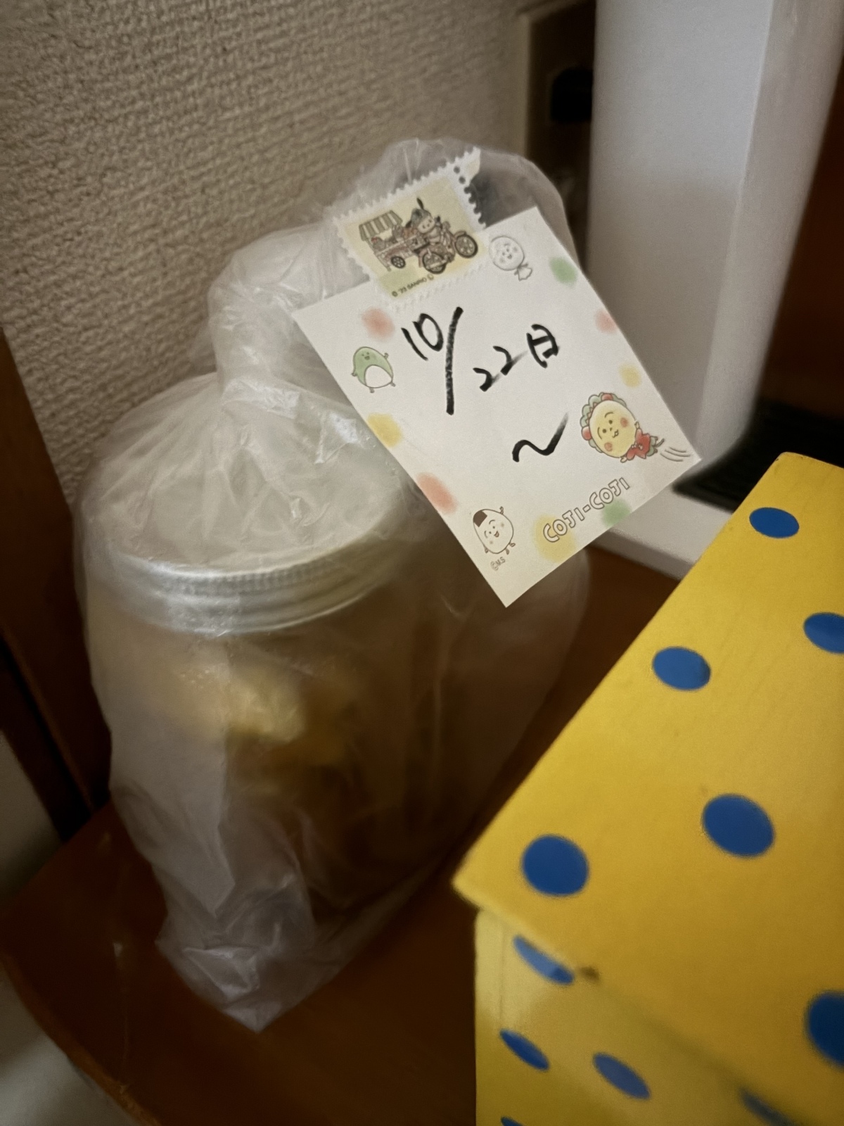 �J���������